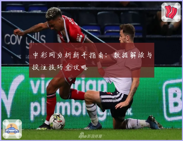 中彩网分析新手指南：数据解读与投注技巧全攻略