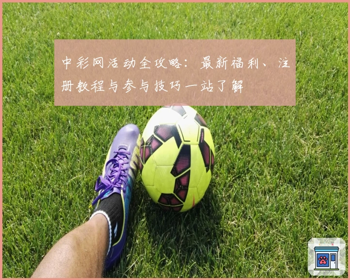 中彩网活动全攻略：最新福利、注册教程与参与技巧一站了解
