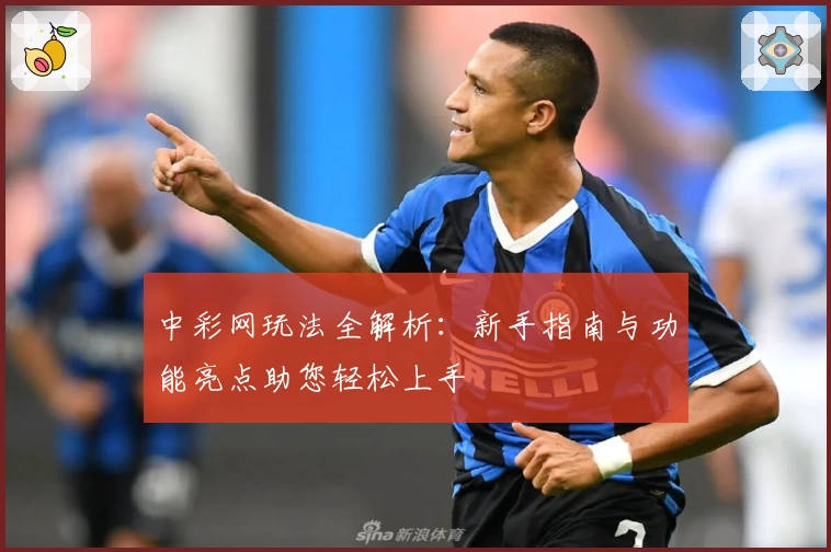 中彩网玩法全解析：新手指南与功能亮点助您轻松上手