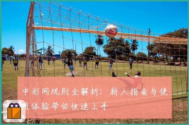 中彩网规则全解析：新人指南与使用体验带你快速上手