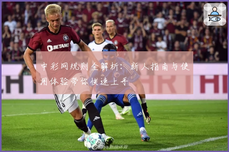 中彩网规则全解析：新人指南与使用体验带你快速上手