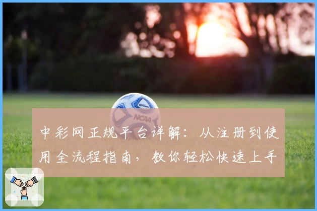 中彩网正规平台详解：从注册到使用全流程指南，教你轻松快速上手
